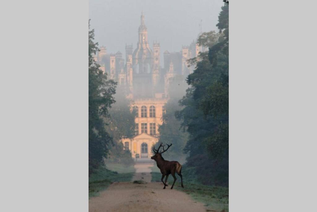 Les Bruyeres De Jeanne Et Rene Zoo De Beauval A 20Min,Chateaux Tout Inclus Fontguenand Buitenkant foto
