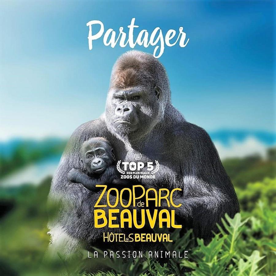 Les Bruyeres De Jeanne Et Rene Zoo De Beauval A 20Min,Chateaux Tout Inclus Fontguenand Buitenkant foto