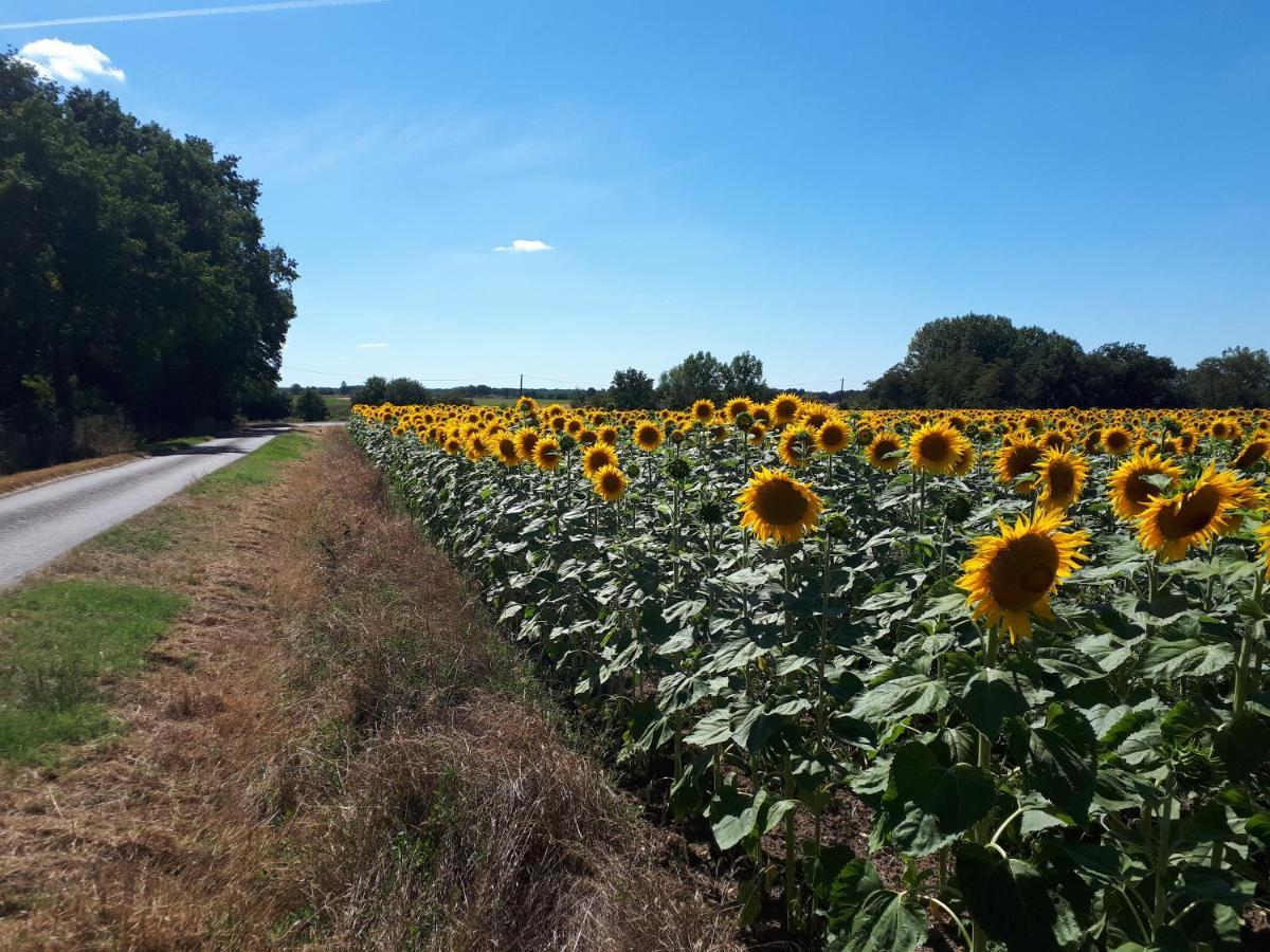 Les Bruyeres De Jeanne Et Rene Zoo De Beauval A 20Min,Chateaux Tout Inclus Fontguenand Buitenkant foto